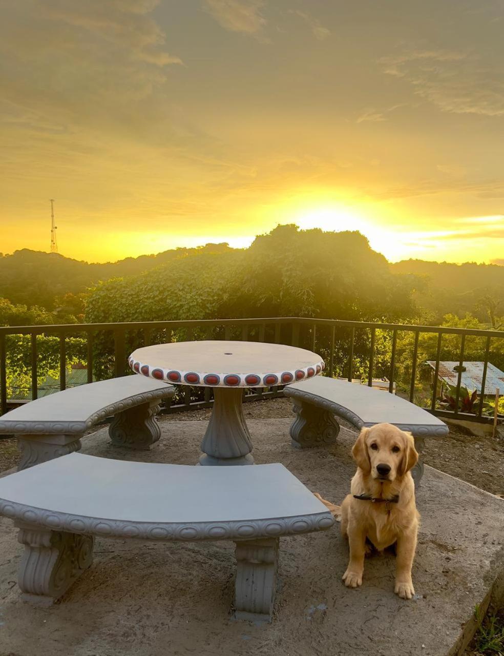 Monteverde Casa Tipica La Cruz 빌라 외부 사진
